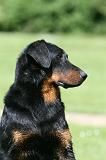 BEAUCERON 952